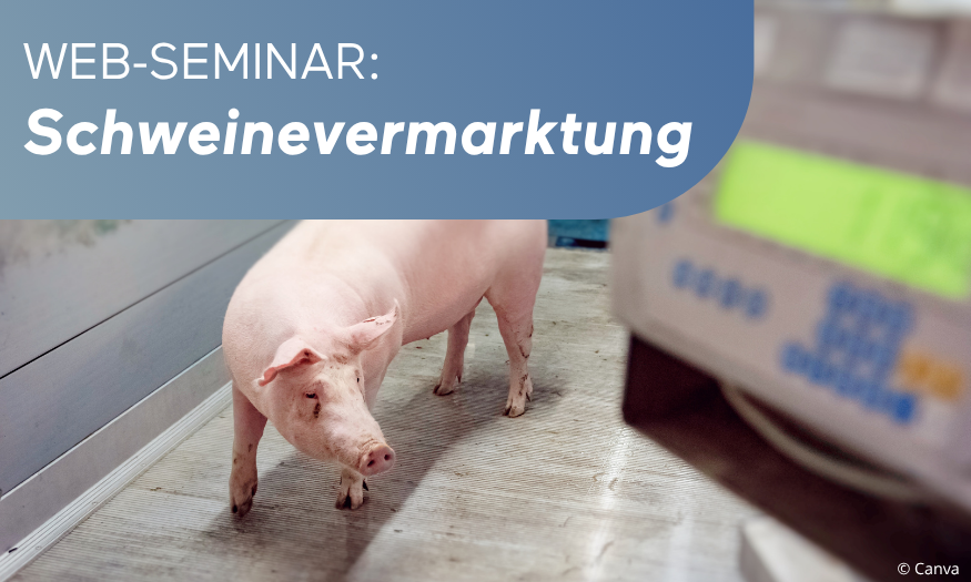 Isw Isn Web Seminar Sauenhaltung (1)