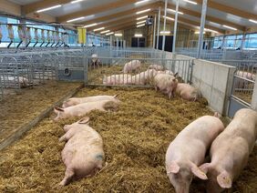 Foto: Dr. Sophie Diers