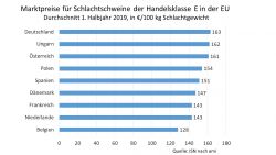 Im Vergleich mit dem Vorjahr stiegen die Marktpreise im europäischen Durchschnitt in der ersten Hälfte dieses Jahres um 9 %