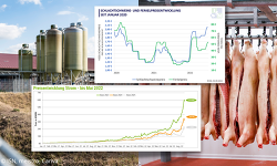 Header Schweinehälften Silos(2)