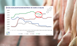 Tönnies und Westfleisch ist der Rückgang des Schlachtschweinepreises auf 2,20 €/kg SG in dieser Woche noch nicht genug.