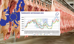 Header Rückblick Eu Vergleich 2022