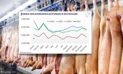 Header Schweineschlachtungen Januar