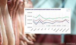 Header Schlachtschweinezahlen