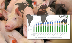 Header Interpig Prkosten