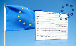 EU-Schweinepreisvergleich