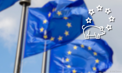 EU Vergleich Vorlage Blanko