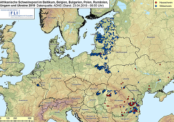 ASF im Baltikum, in Belgien, Bulgarien, Polen, Rumänien, der Ukraine und Ungarn 2019, Stand 23.04.2019 (Quelle: FLI)
© FLI