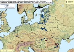 ASF im Baltikum, in Belgien, Bulgarien, Polen, Rumänien, der Tschechischen Republik, der Ukraine und Ungarn 2019, Stand 19.03.2019 (Bild: FLI)