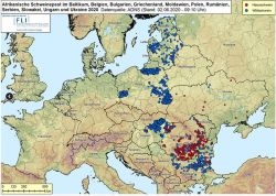 Karte: ASP im Baltikum, in Belgien, Bulgarien, Griechenland, Moldawien, Polen, Rumänien, Serbien, der Slowakei, der Ukraine und Ungarn 2020 (Quelle: FLI, Stand 02.06.2020)