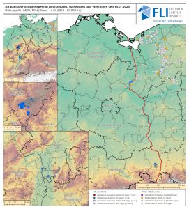 Die drei Hauptschwerpunkte des ASP-Geschehens in Deutschland liegen aktuell in Nordrhein-Westfalen, Sachsen und Hessen (Karte Stand 14.07.2026) ©FLI