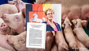 Die Landesregierung in Niedersachsen will eine landeseigene Nutztierstrategie. © ISN, ML Niedersachsen/Timo Jaworr