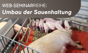 Jetzt direkt online anmelden!