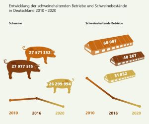 Landwirtschaftszählung: Entwicklung der schweinehaltenden Betriebe und Schweinebestände in Deutschland 2010-2020 (Quelle: Destatis, https://www.giscloud.nrw.de)