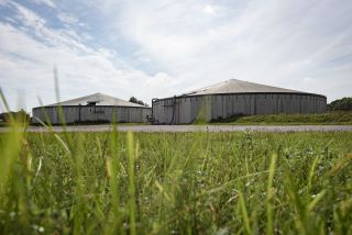 Die FH Münster möchte die Nutzung organischer Wirtschaftsdünger aus der Tierhaltung optimieren (Bild ©ISN/Jaworr)