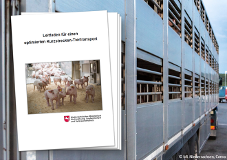 Der neue Leitfaden gibt Tierhaltern praktische Hinweise und Hilfestellungen, Transporte sicher zu planen und durchzuführen.