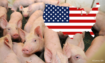 Der US-Schweinebestand bleibt auf stabilem Niveau.