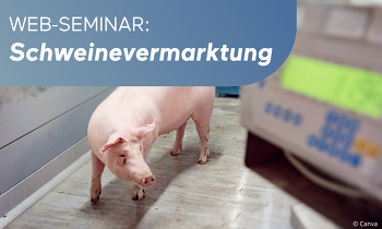 Jetzt direkt online anmelden!