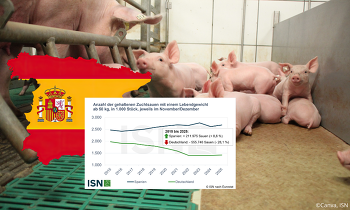 Header Sauen Spanien