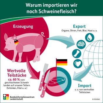 Infografik Fleischimporte © 2026 BLE