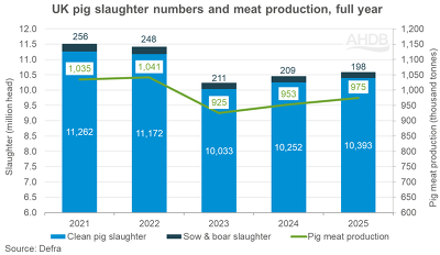 Britische Schweinefleischerzeugung und Schweineschlachtungen ©AHDB nach Defra