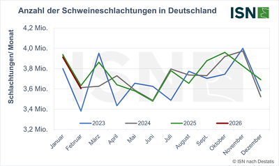 Schlachtzahlen Monatlich Aktuell