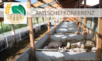 ACK-Beschluss: Bis zur AMK Ende März soll der Bund einen Bericht mit Förder- und Finanzierungsmaßnahmen sowie einen konkreten Zeitplan für den Umbau der Nutztierhaltung vorlegen (Bild: ISN, www.agrarministerkonferenz.de)