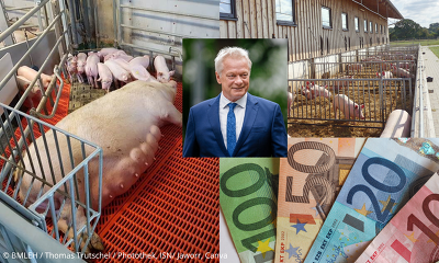 Bundeslandwirtschaftsminister Alois Rainer hat die Antragsfrist beim Bundesprogramm Umbau Tierhaltung nun doch noch einmal verlängert ©ISN/Jaworr, BMLEH/Thomas Trutschel/Photothek, Canva