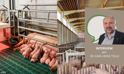 Header Interview Tölle Sauenhaltung Umfrage