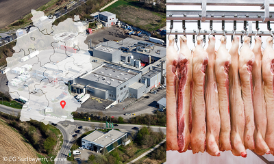 ©EG Südbayern, Canva