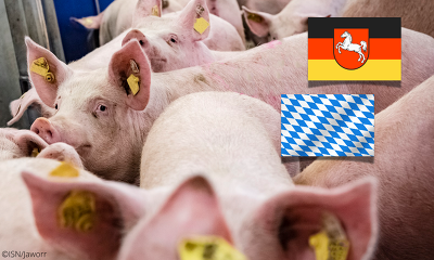 Header Viehzählung Nds. Bay.