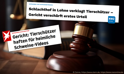 Aktuelle Schlagzeilen zum Gerichtsurteil (© Canva, https://www.stern.de, https://www.nwzonline.de)