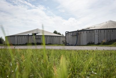 Für das Abgeben oder Aufnehmen von Wirtschaftsdünger gelten seit dem letzten Jahr halbjährliche Meldefristen (Foto © ISN/Jaworr)