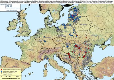 ASP in Europa, Stand 30.09.2025 © FLI