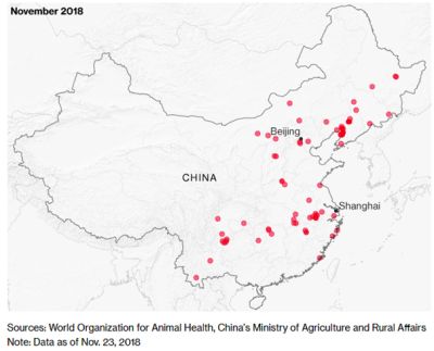 Seit August 2018 hat sich das ASP-Virus in China schnell und über weite Strecken verbreitet.