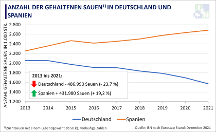 Während der Sauenbestand hierzulande massiv zurückgefahren wird, stockt Spanien in annähernd gleicher Zahl auf.