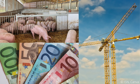 Beim Bundesprogramm Umbau Tierhaltung wurde der 100. Antrag eingereicht - Kein Grund zum Feiern, findet die ISN ©ISN,Canva