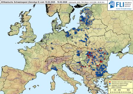 Karte: ASP in Europa, Stand 10.02.2026 ©FLI