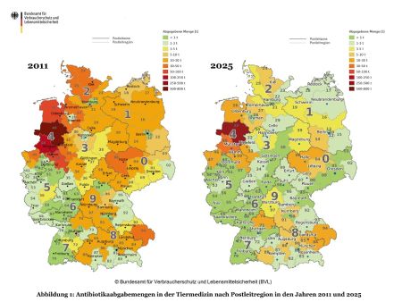 Vergleich der regionalen Antibiotika-Abgabemengen 2011 und 2025 ©Bundesamt für Verbraucherschutz und Lebenmittelsicherheit (BVL)