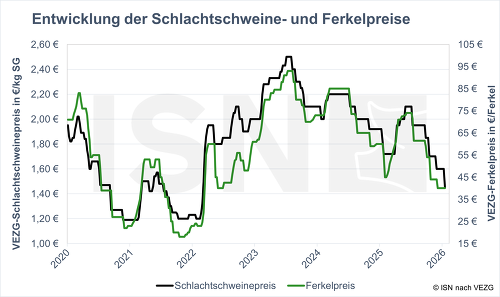 Schweinehalter schreiben tiefrote Zahlen: Die VEZG-Notierung für Schlachtschweine fiel heute um 15 Cent auf 1,45 €/kg SG