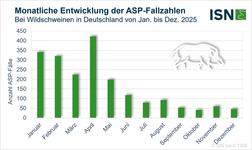 Die monatliche Entwicklung der ASP-Fallzahlen zeigt ab Mitte des Jahres einen deutlichen Rückgang (© ISN nach TSIS)