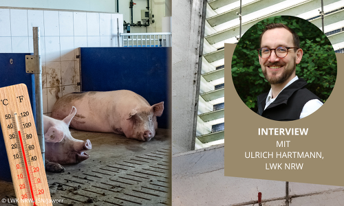 Header Interview Ulrich Hartmann Lwk Nrw Hitzstress